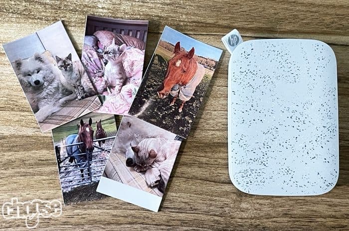 HP Sprocket Review